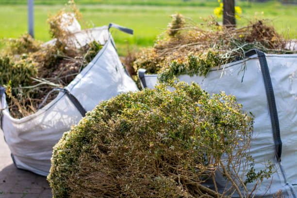 Best Commercial Junk Removal  in Travelers Rest, SC